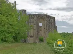 Collegiales Roches Tranchelion