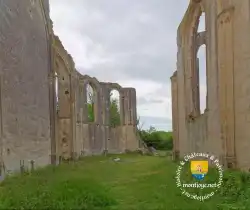 Nef Collegiale Renaissance