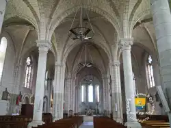 Nef Eglise