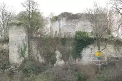 Chateau Medieval De Semblancay