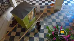 Transport Transport