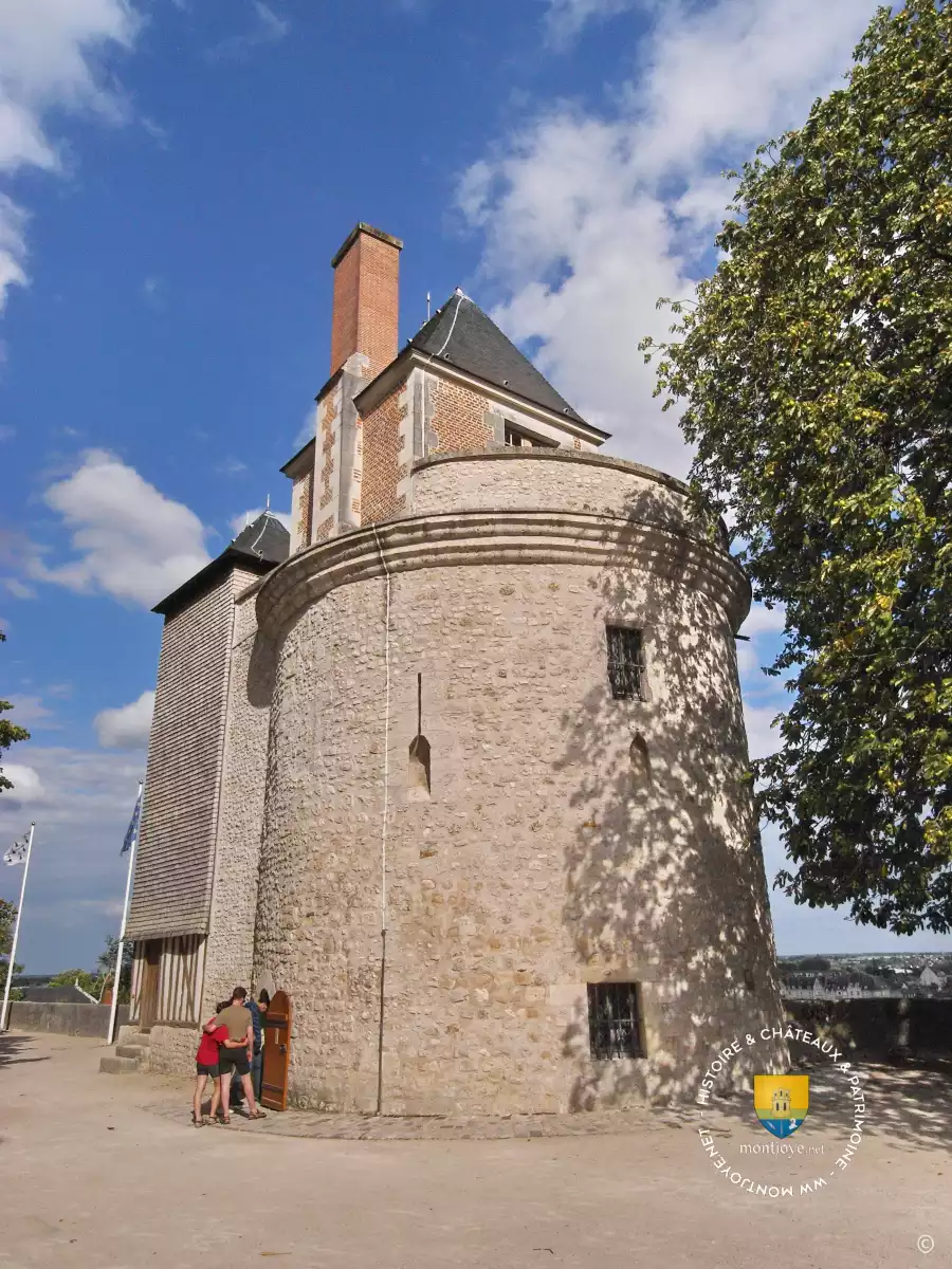 Reste du château médiéval du château de Blois, tour de Foix