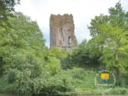 Coulommiers La Tour Ruine Motte Coulommiers La Tour Ruine Motte
