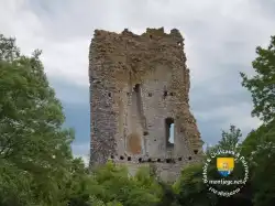 Donjon Coulommiers La Tour Interieur Cheminee Donjon Coulommiers La Tour Interieur Cheminee