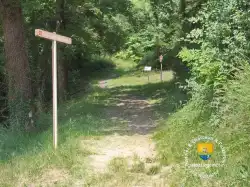 Chemin Chateau Chemin Chateau