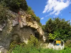 Troglodyte
