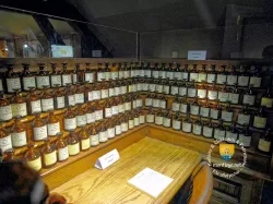 Orgue A Parfum 