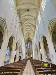 Nf Clery Saint Andre Notre Dame