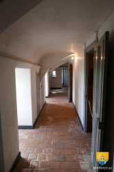 Coursive