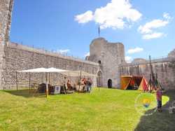 Cour Haute Chevaliers Paladins