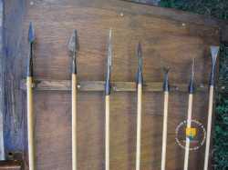 Fleches Lances