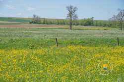 Champcourt Champs Prairie Haute Marne Champcourt Champs Prairie Haute Marne