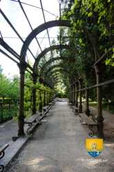 Allee