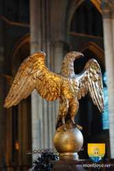 Aigle De Fer