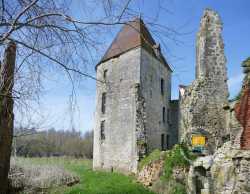 Tour XVe