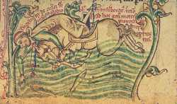 Enguerrand III Coucy Mort Death