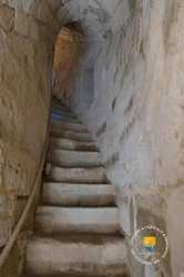 Escalier Donjon Medieval