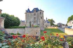 Chateau Vic Sur Asine 