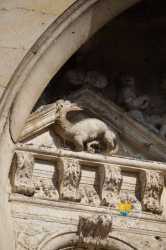 Salamandre Francois Ier