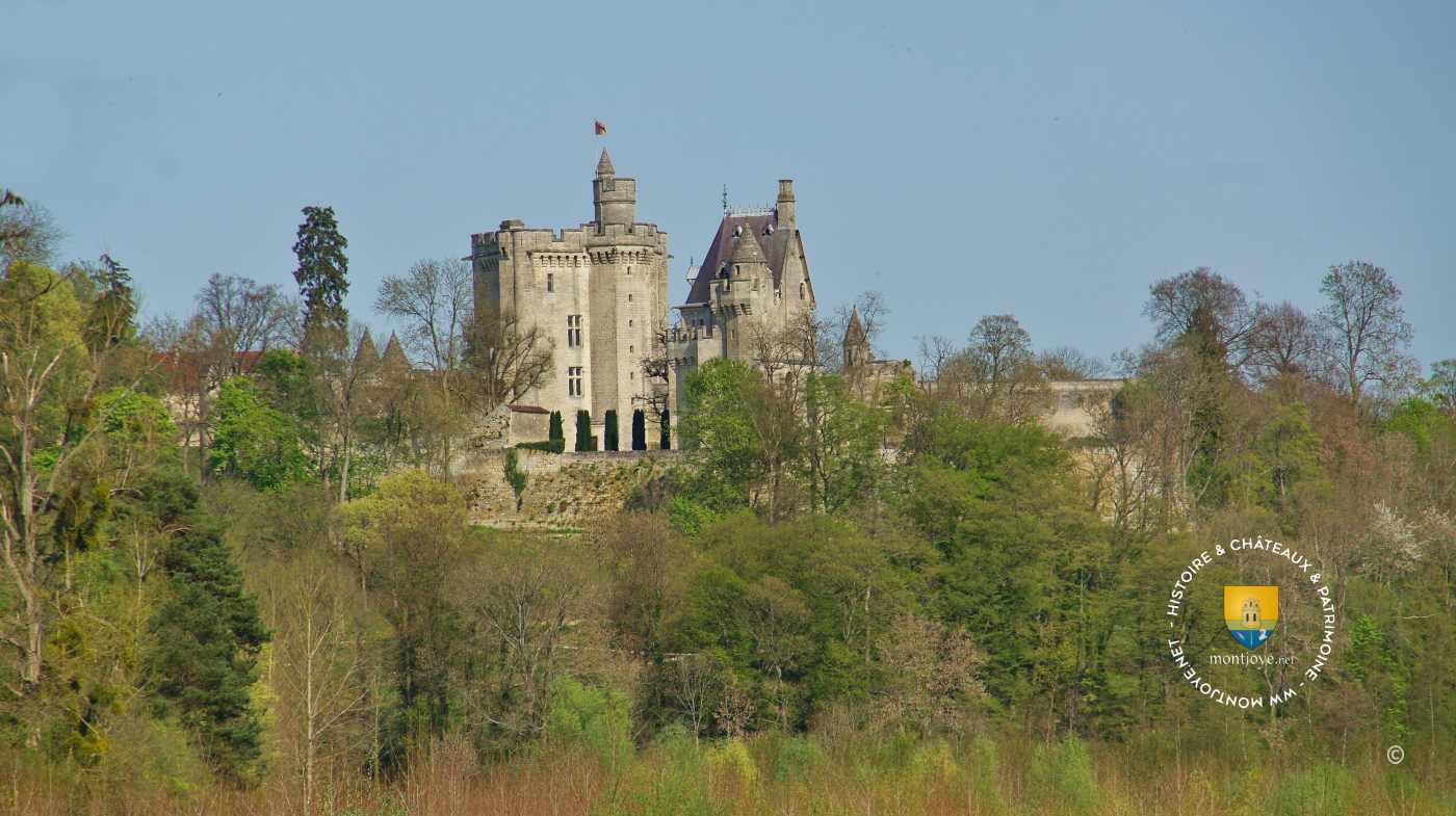 Château et Donjon de Vez