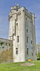 Donjon du château de Vez Donjon
