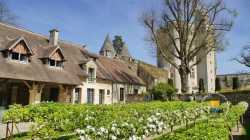 Jardin fleuris de la cour de Bourdelle Jardin Du Chateau