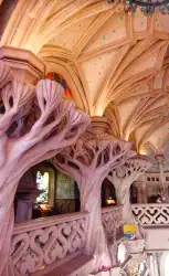 Voute Arbre Voute Arbre