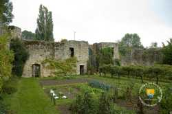 Jardin Medieval Cour Challeau