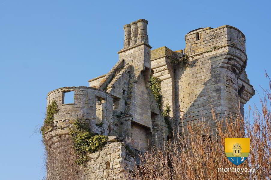 Donjon de Houssoy - Château de Crouy sur Ourcq