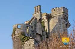 Houssoy Detail Chateau Crouy Sur Ourcq