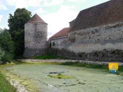 Douves Tour Angle Chateau Esmans