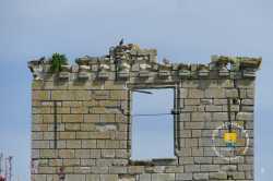 Ancienne Fenetre A Meneau