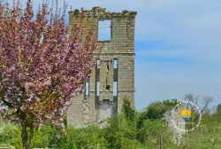Chateau De Seine Et Marne Tourisme Visite