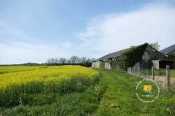 Plaine De Seine Et Marne Ferme