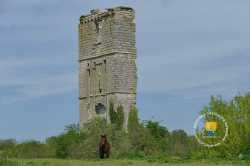 Tour De Boissy Seine Et Marne Cheval