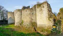 Chateau De Montaiguillon Louan