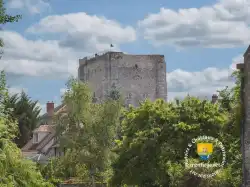 Donjon Moret Sur Loing Sommet Donjon Moret Sur Loing Sommet