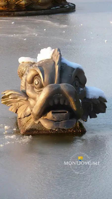 Parterre Poisson Parterre Poisson