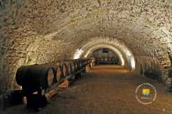 Caves Vins