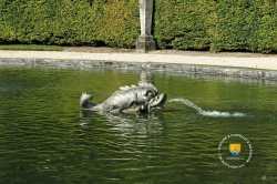 Poisson