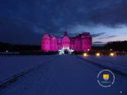 Rose Cour Des Bornes 