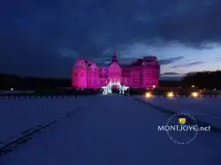 Rose Cour Des Bornes 