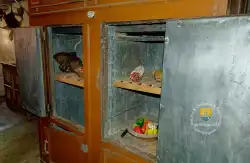 Frigo Frigo