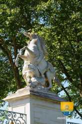 Chevaux Marly Le Roi