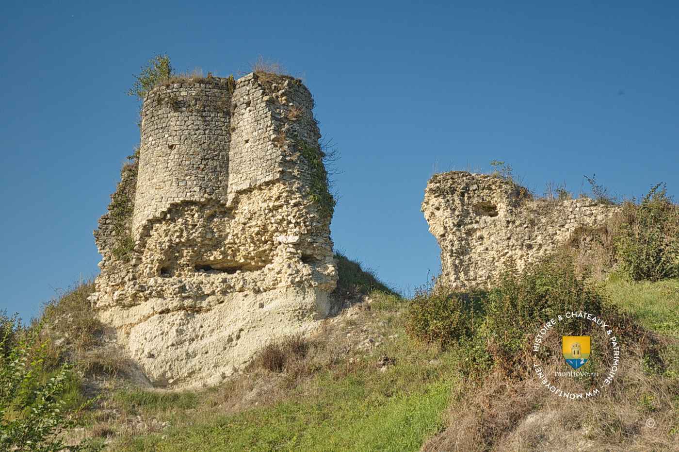 Ruines du château de Montchauvet