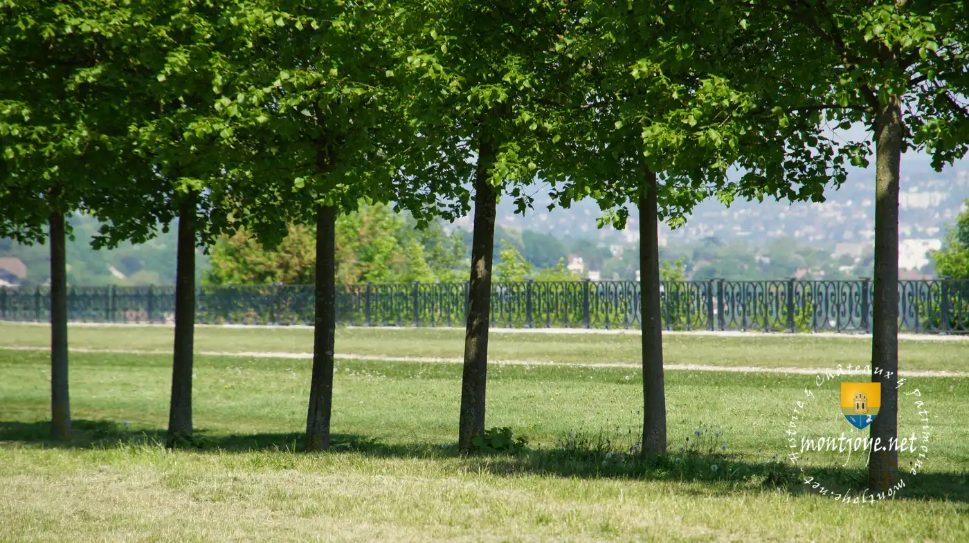 Perspectives Allee Arbres Terrasse Le Notre Perspectives Allee Arbres Terrasse Le Notre