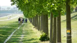 Perspectives Andre  Terrasse Le Notre