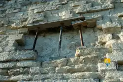 Travaux Entretiens 4 Terrasse Le Notre