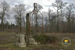 Puits Epoque HenriIV Puits Epoque HenriIV