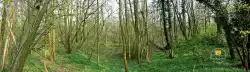 Foret Marly Saint Germain En Laye Foret Marly Saint Germain En Laye